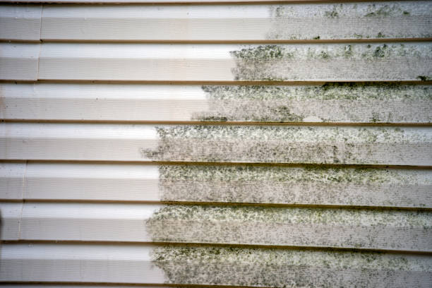 Moving and Downsizing Cleanouts in Dundee, FL